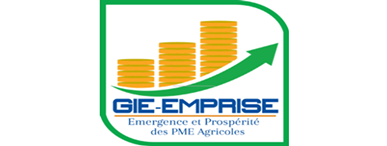 La réintégration des filles non-scolarisées à Torodi et Kollo