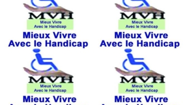 Vivre Heureux avec son Handicap (V2H)