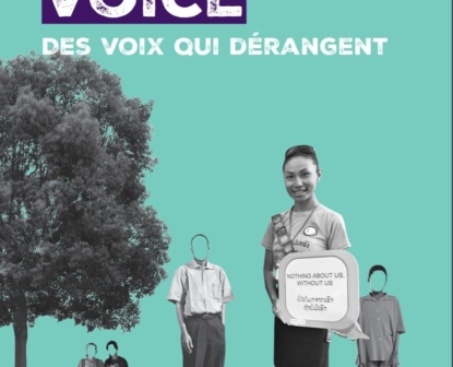 Rapport Annuel de Voice 2017
