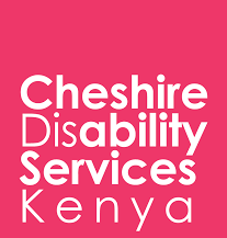 Disability Social Innovation Lab