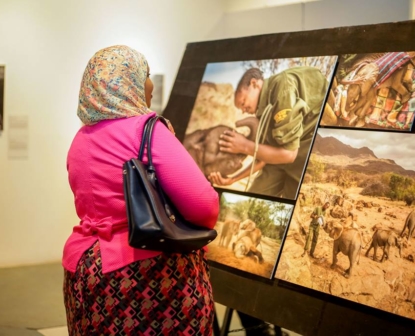 Connecting the world to stories that matter