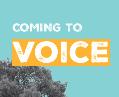COMING TO VOICE – Annual Report 2018