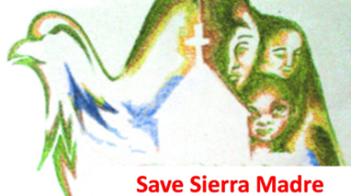 IP voices in CENRO Summit