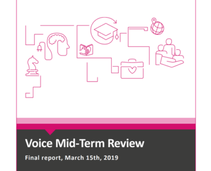Mid-Term Review Voice: final report