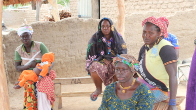 Approche communautaire de lutte contre les inégalités du genre pour la capture du dividende démocratique