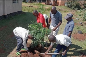 Community member planting trees in Suba Kuria Green Park