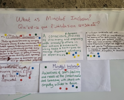 The Mindful Inclusion trajectory, a reflection